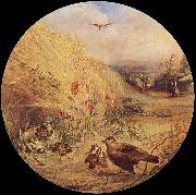 Wheatfield with bird-s nest, William Dexter